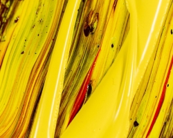 Amazing Vincent by Tom Bushnell detail image 35 Amazing Vincent by Tom Bushnell detail image 35