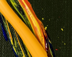 When I Fall In Love by Tom Bushnell detail image 29