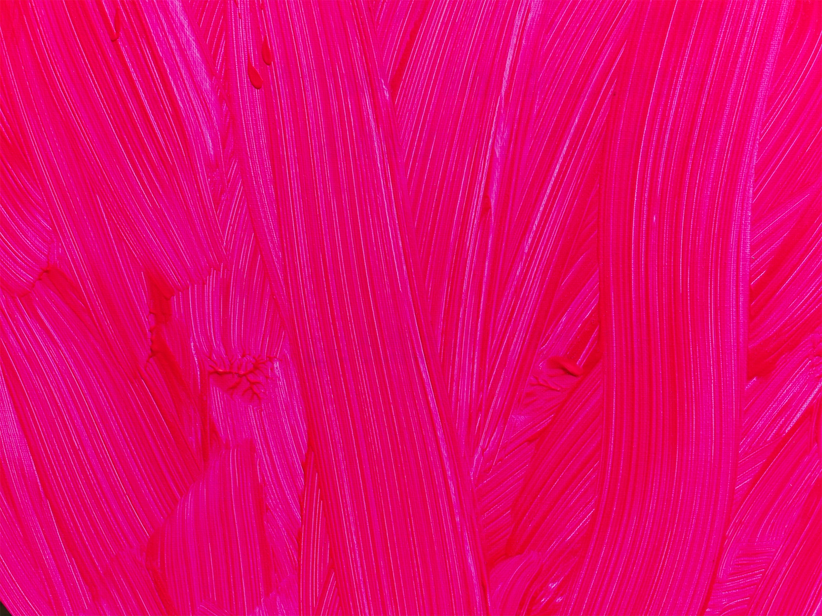 Pink Lady _4171101