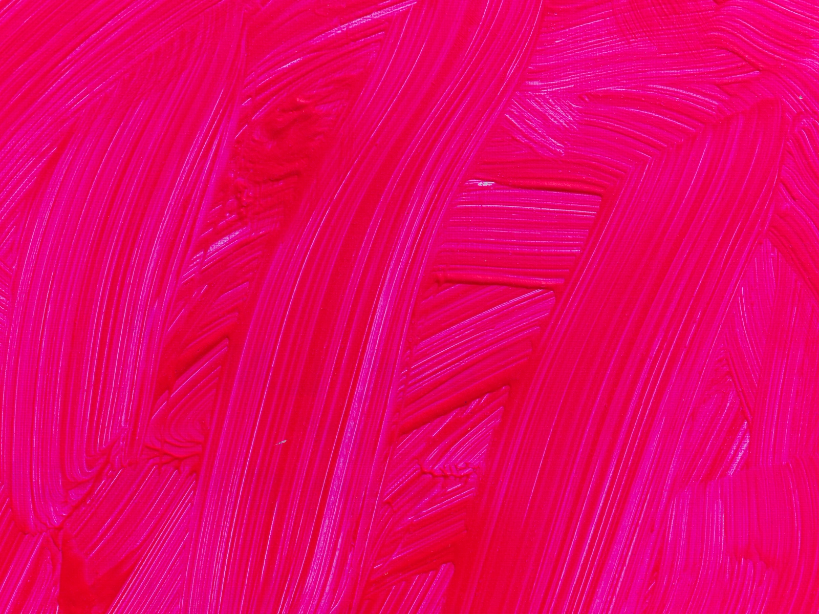 Pink Lady _4171102
