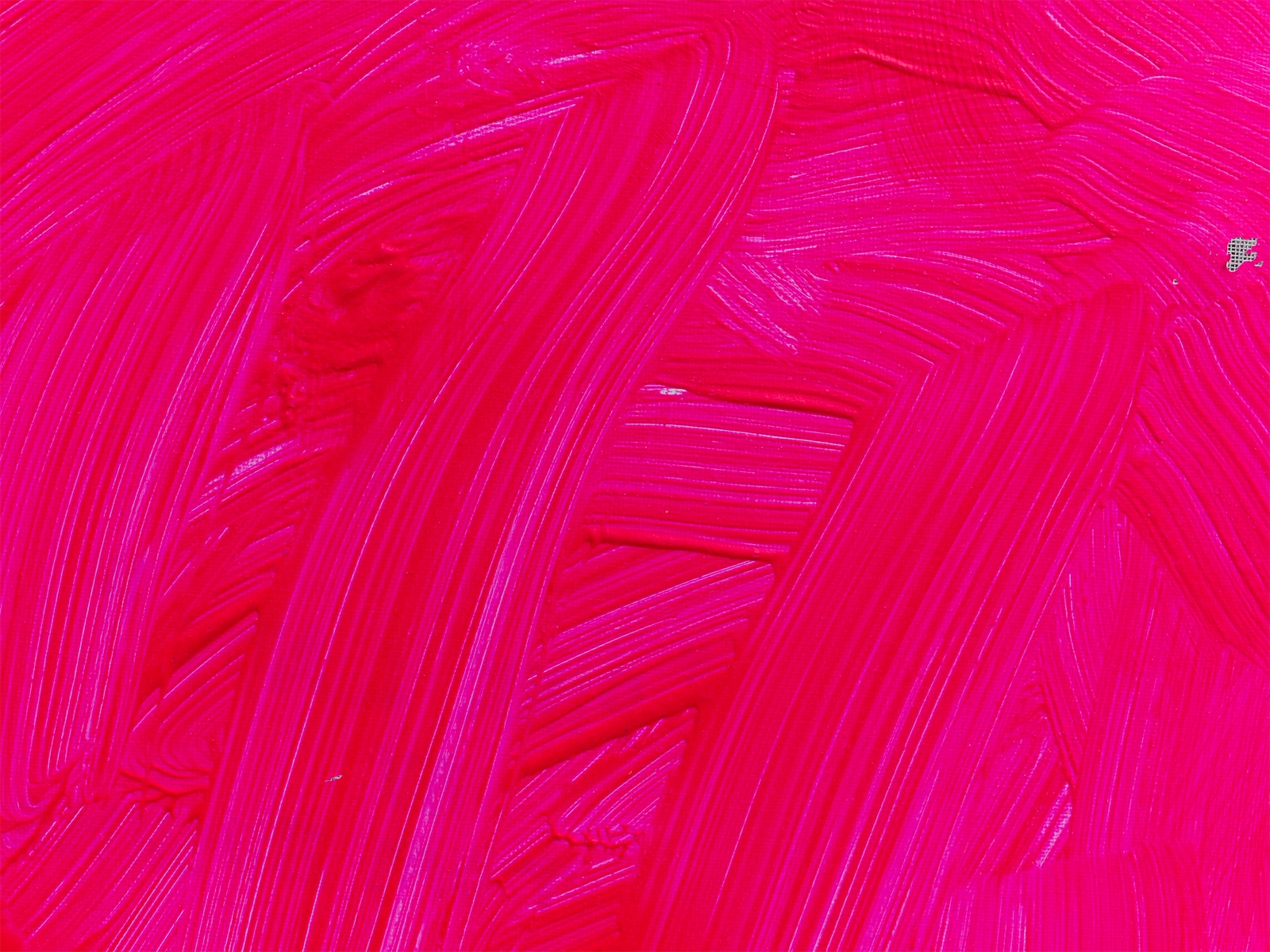Pink Lady _4171104